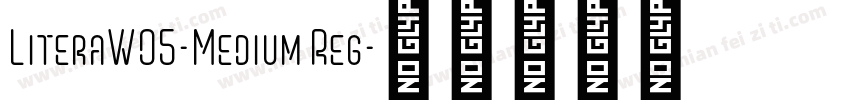 LiteraW05-Medium Reg字体转换